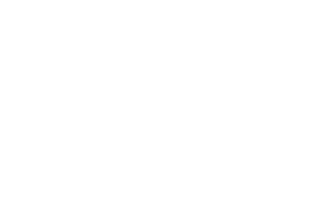 madfly design